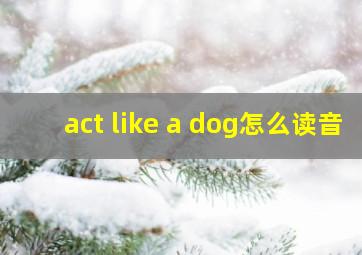 act like a dog怎么读音